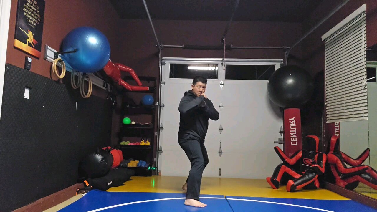 WTD 2 Step Kick Combination 77