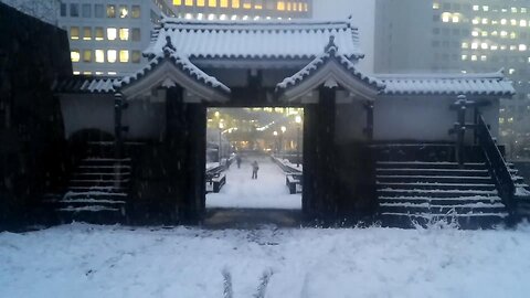 Remains of Edo Castle, Tokyo, A snowy day in January 2022