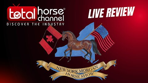 Live Review - New York Regional Morgan Horse Show