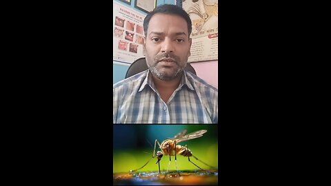 मलेरिया मच्छर किस में पनपता है ।