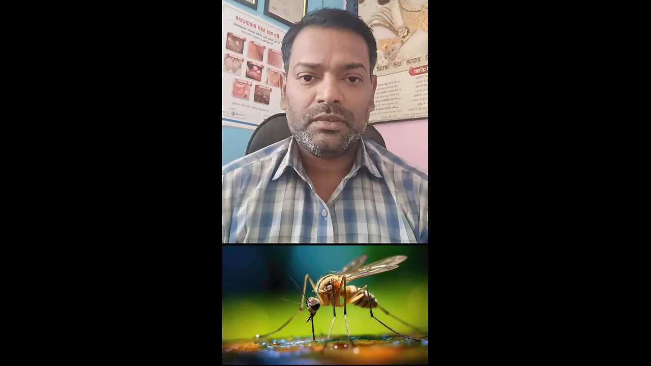 मलेरिया मच्छर किस में पनपता है ।