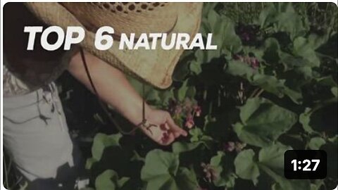 "Six Best Natural Pain Relief Remedies"