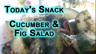 Today's Snack: Cucumber & Fig Salad with Mint, Balsamic Vinegar & Olive Oil [Recipe, Food Eating]