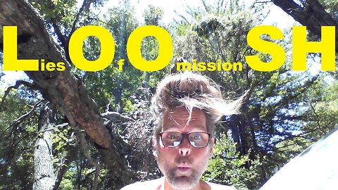 Lies Of Omission Standard History