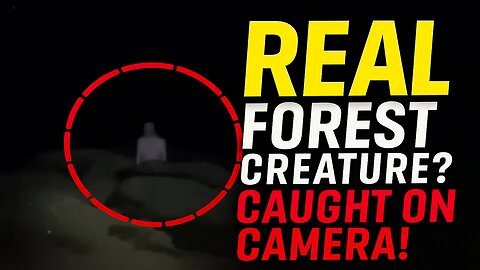 "Terrifying Forest Creature Caught on Camera – Is This Real?"