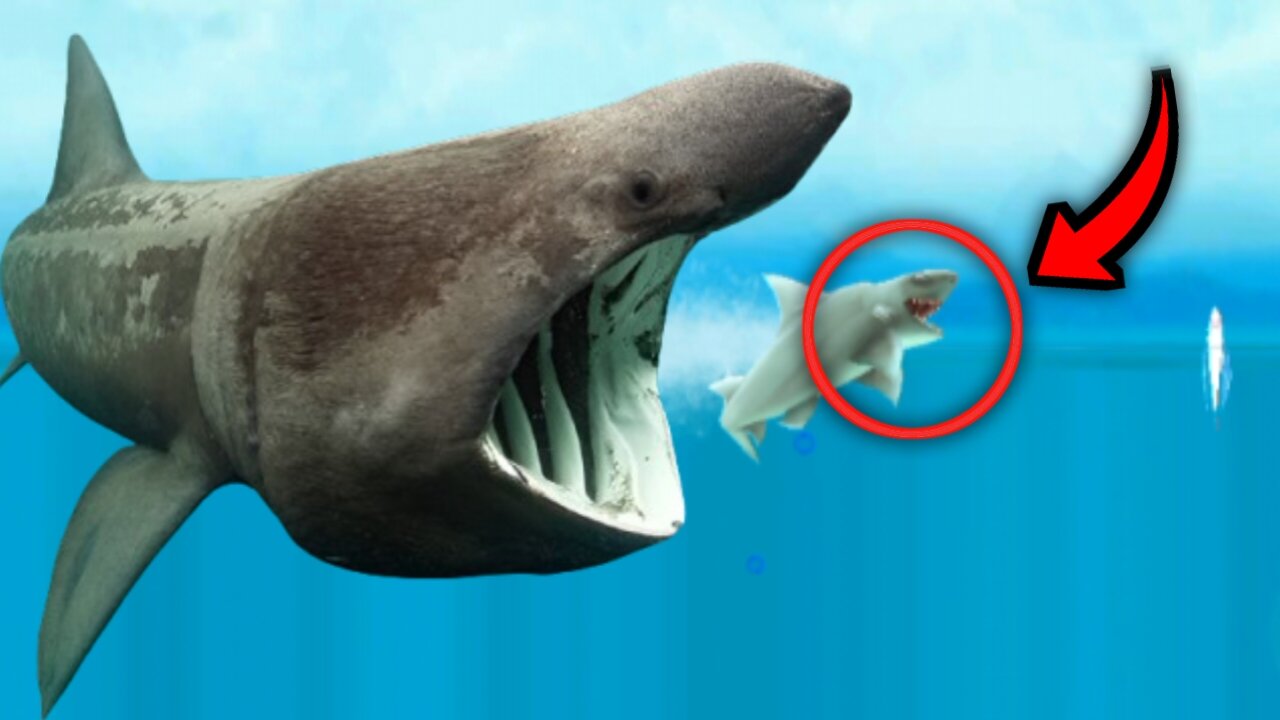Curious fisherman drops camera to see the fish he can't catch🤔. Watch full video