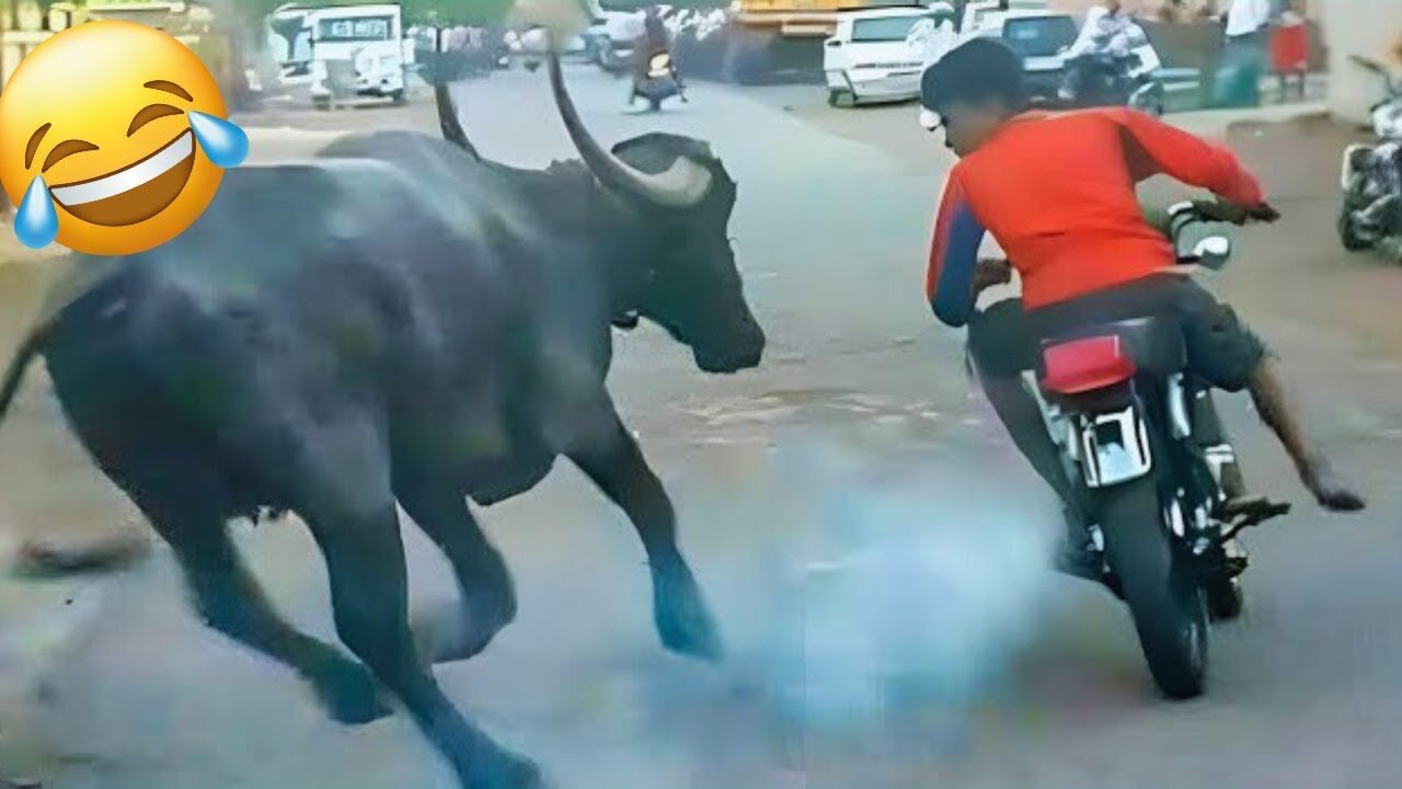 TRY NOT TO LAUGH - Best Funny Videos compilation - Fail And Pranks - P8 - Funny 4D