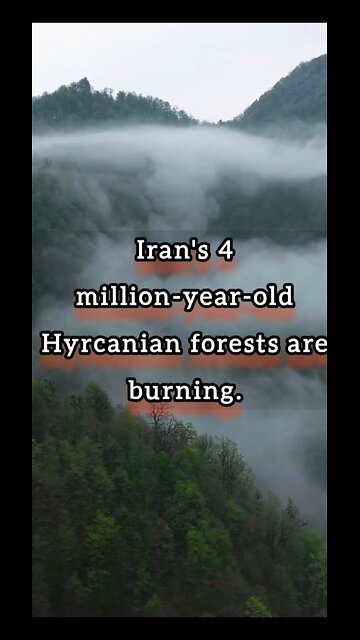 My beautiful Iran...