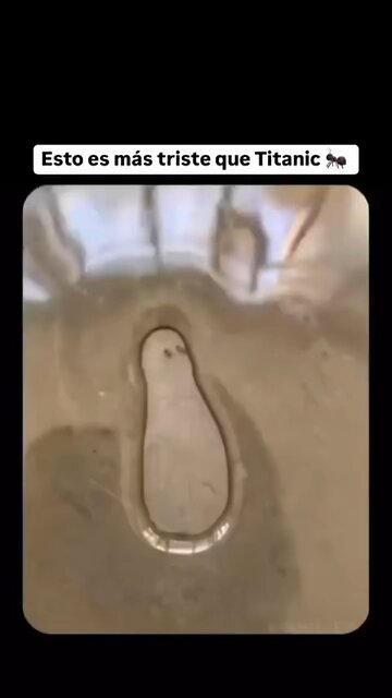 A Painful End for the Ant... But Why? 🐜😱"