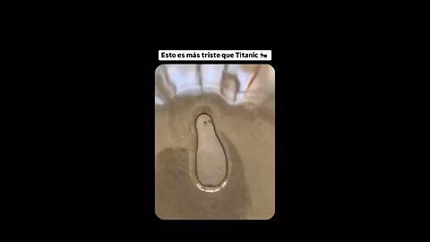 A Painful End for the Ant... But Why? 🐜😱"
