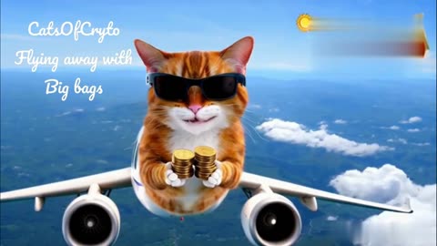 CatsOfCrypto just flying away