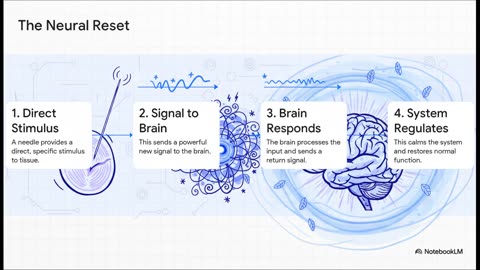Dry Needling: How does it work?