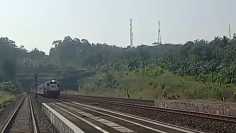Terowongan ijo