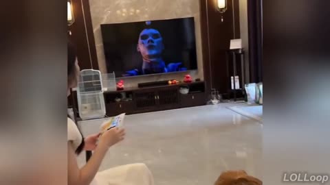 Funny Videos of the Year | Try Not to Laugh 2025 Edition 😜