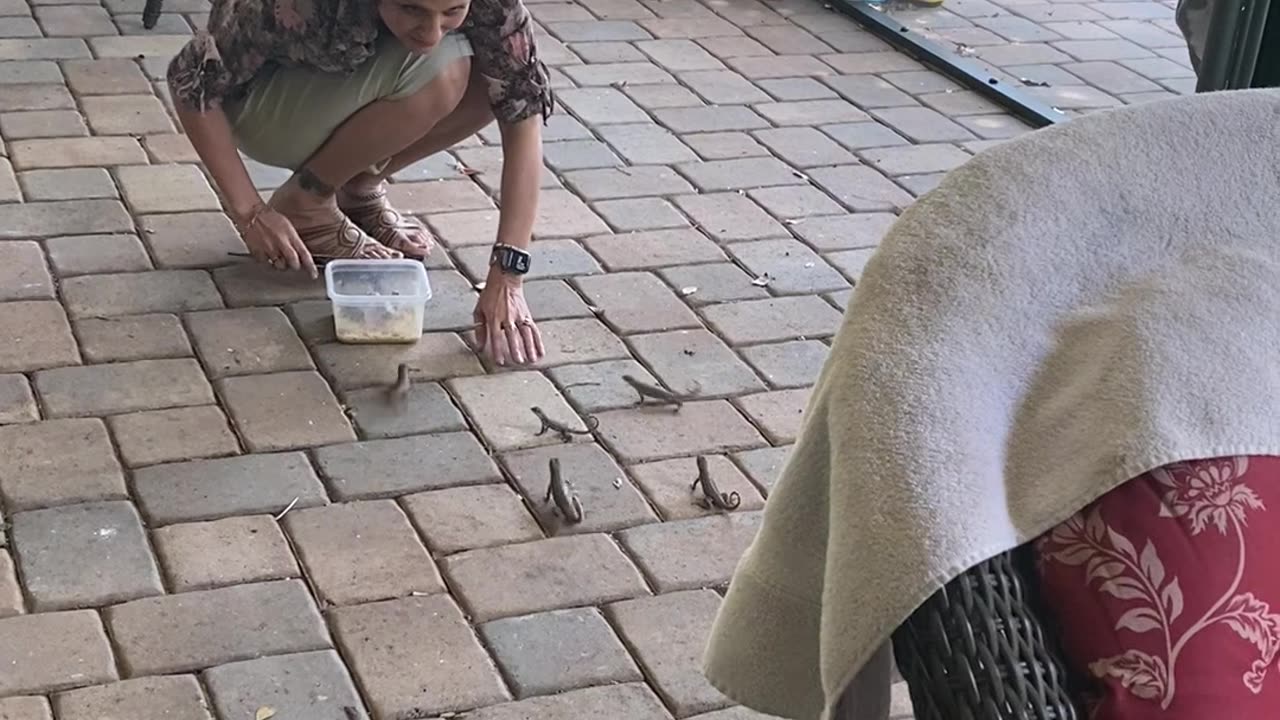 Woman Has a Miniature Jurassic Park Behind Her House