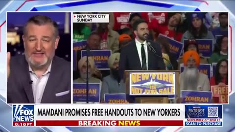 Ted Cruz_ They have 'LOST THEIR MINDS!'