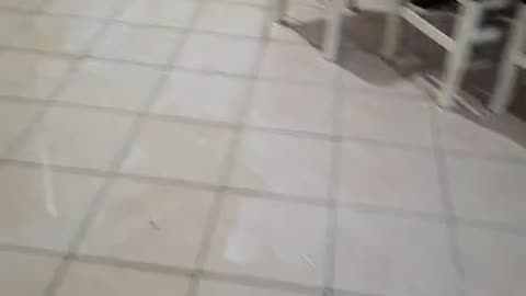 Detajet nga permbytjet ne Durres