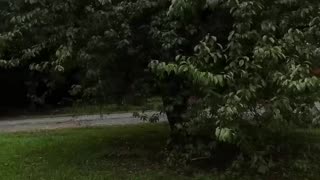 Checking Plumbing Repairs… Without Spooking the Tenants 😂🚰