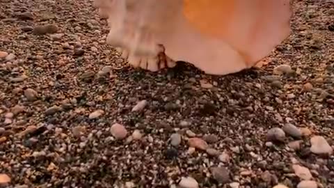 Listen to sea hold shell to ear