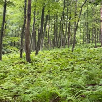 WE STEPPED INTO A MAGICAL WONDERLAND!