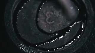 Scientific Accidents — Entry #13: Superglue