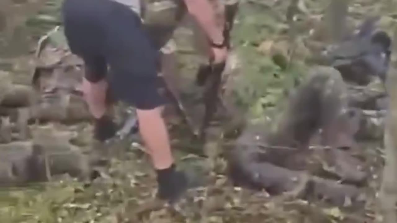 Ambush Behind Russian Lines Takes Out At Least 4