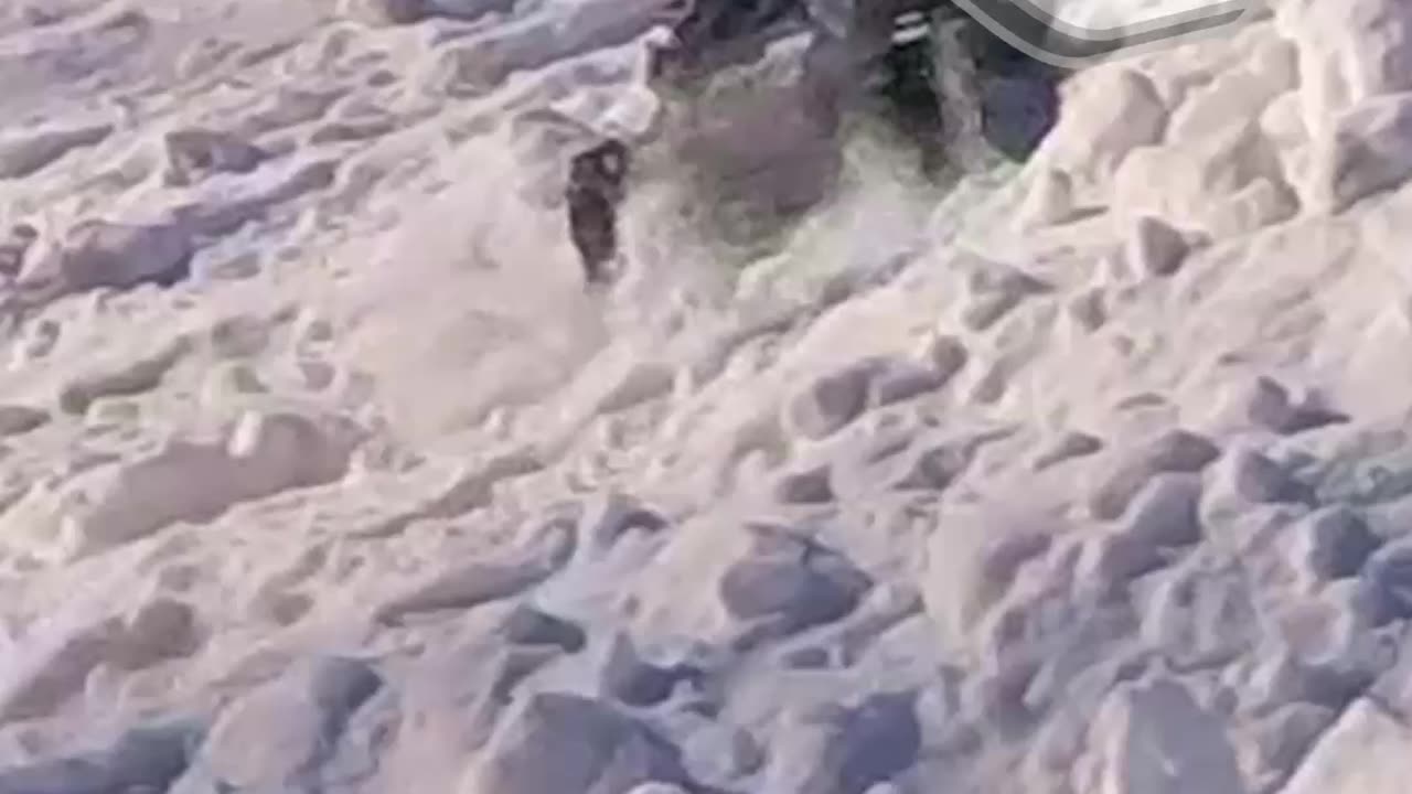 EPIC!🔥Rustler, Stampede 4x4 VXL Snow Tear!💯Pro-Line Sand Paws!😎