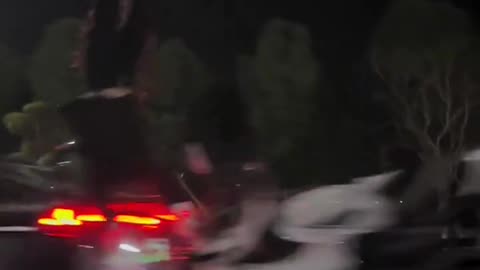 Kitty Crash