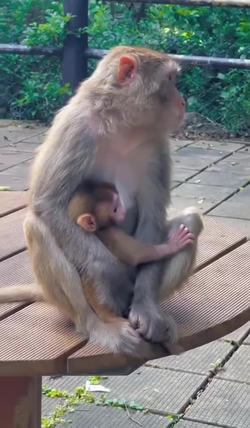 Mom to the rescue 😊