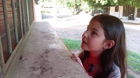 El Vendedor FF