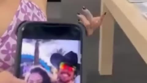 "That's just my friend"