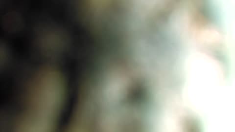 Furnace Burner Sound