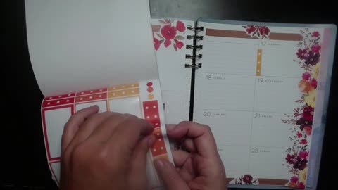 November 17-23 weekly in dashboard planner