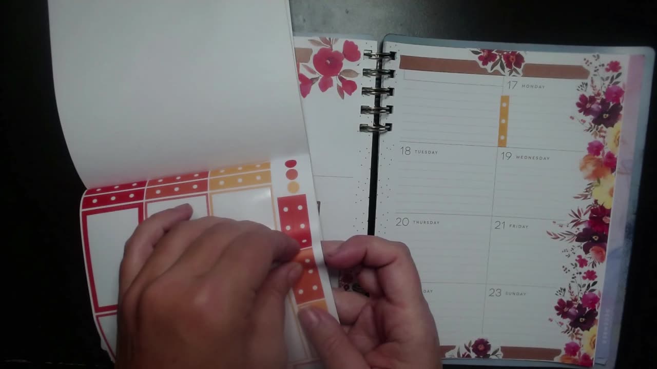 November 17-23 weekly in dashboard planner