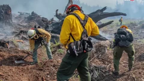 Trump Signs GOP Bill: Wildland Firefighters Get 4-Year Pay Hike Amid Staff Cuts - WorldEye