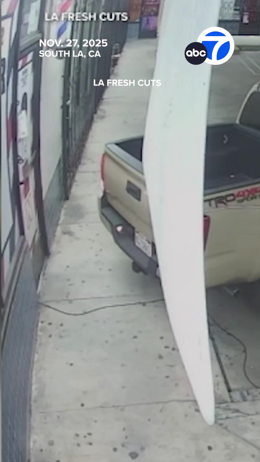 Video shows beloved cat stolen from barbershop in Los Angeles