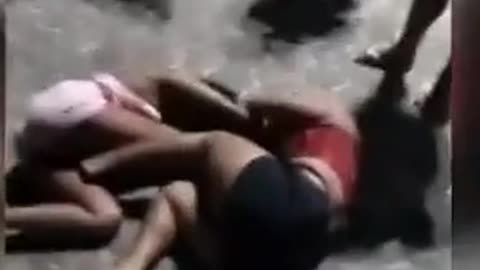 Extended Cat Fight
