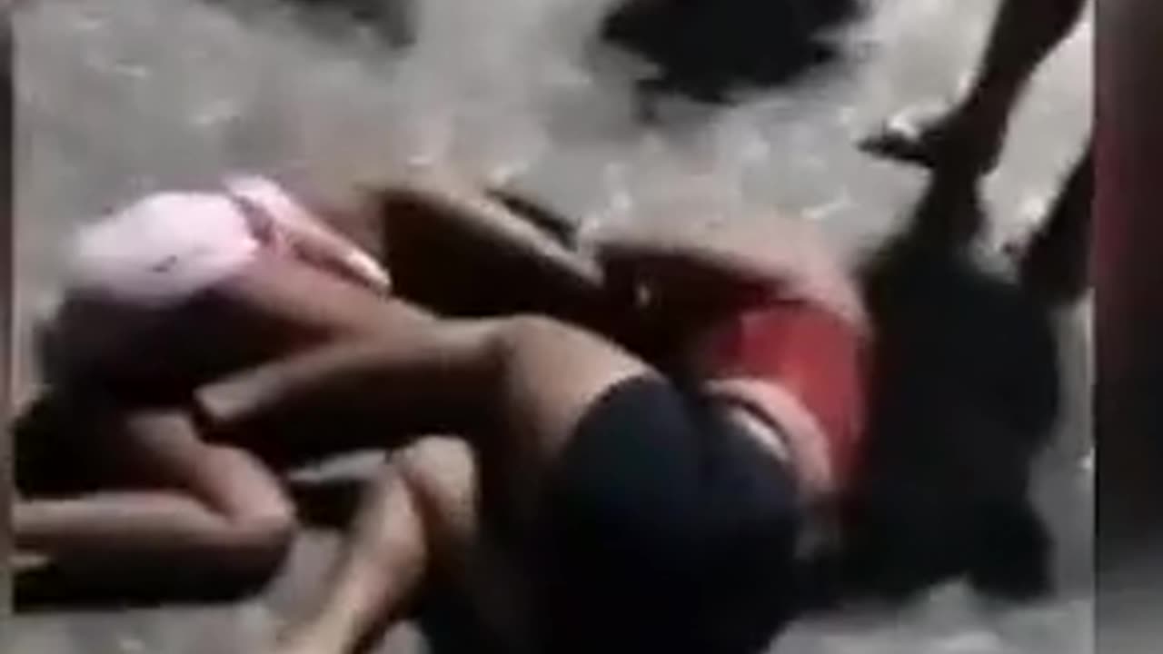 Extended Cat Fight