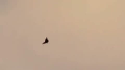 Passenger Captures UFO Next to Plane! ✈️🛸(Incredible Footage!)