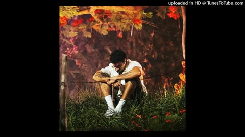 Bad Bunny Type Beat "Bata"