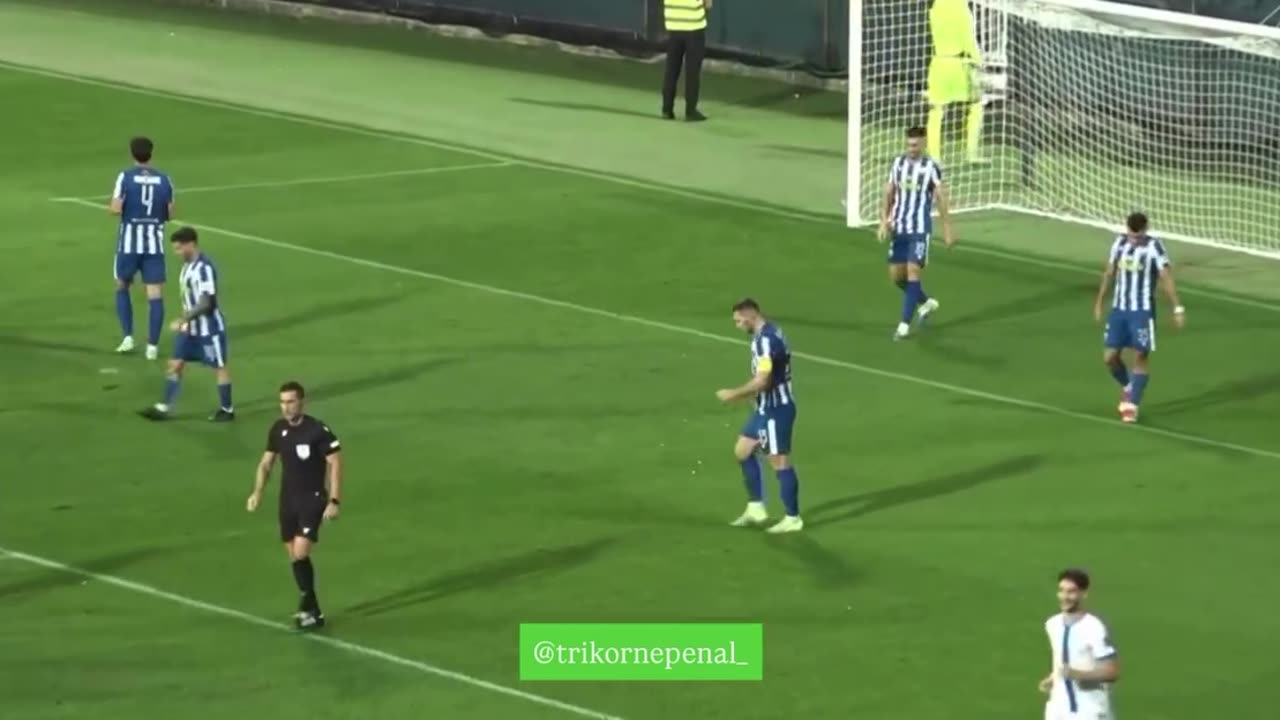 Buducnost own goal