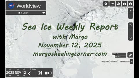 Sea Ice Weekly Report with Margo (Nov. 12, 2025)