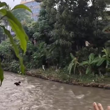 In Nepal, citizens capture communist politicians and throw them into the river.