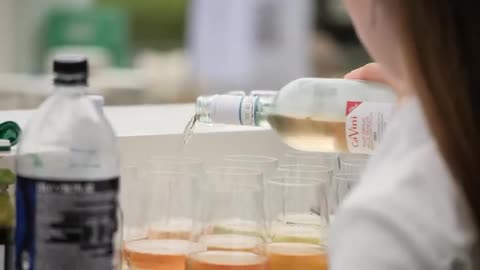 Een stem voor het goede leven: FVD viert groei en samenhorigheid.