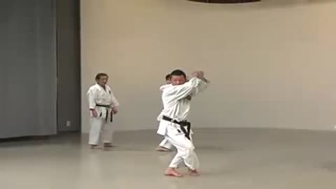 Shorin-Ryu Karate