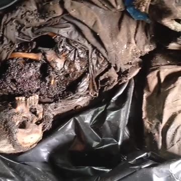 Ukraine war combat footage 8/29/25