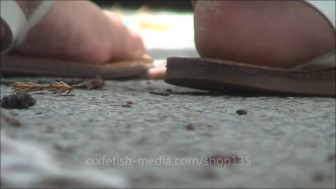 The end of the poor worm