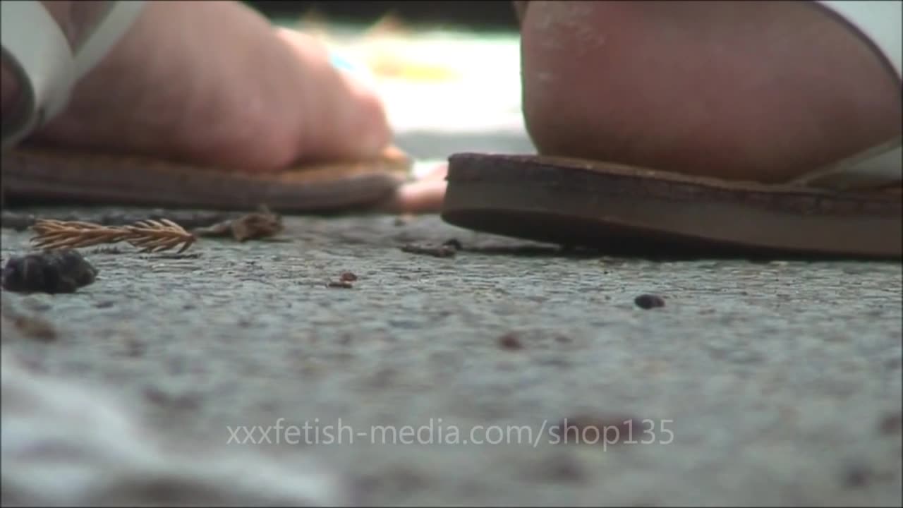 The end of the poor worm