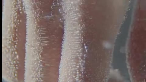 Daily Horoscope | Pisces 🌟