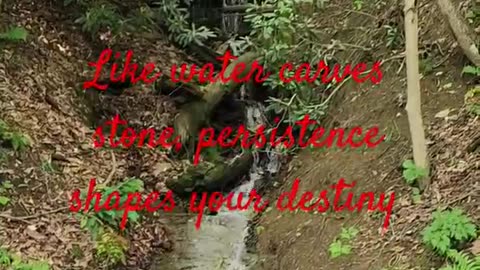 Like water carves stone, persistence shapes your destiny.